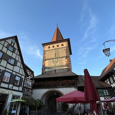 Coucou - Nest Im Schwarzwald Apartment Gengenbach Exterior foto